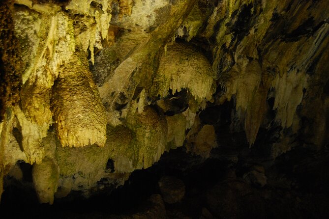 Geology Private Full Day Tour - Reviews