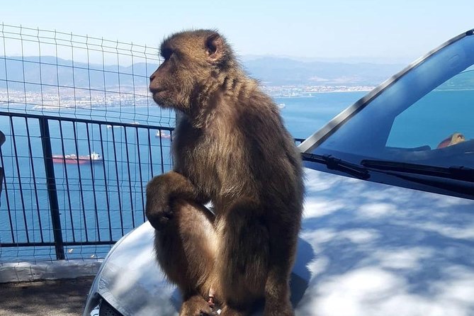 Gibraltar Sightseeing : Extended Rock Tour / Shore Excursion (Private) - Weather Considerations