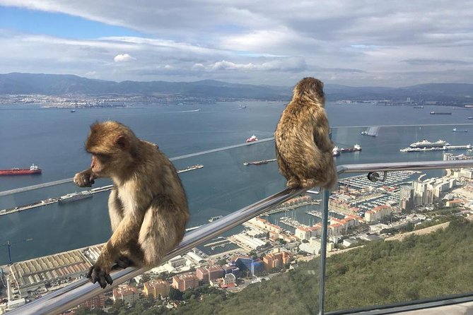 Gibraltar Sightseeing: Premium Rock Tour / Shore Excursion (Private) - Tour Details