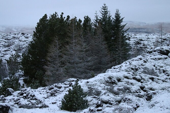 Glaciers and Aurora: Around Iceland in Winter - The Sum Up
