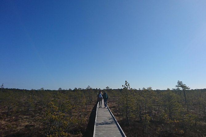 Go North – Private 1 Day Trip to Estonian Nature - Additional Information