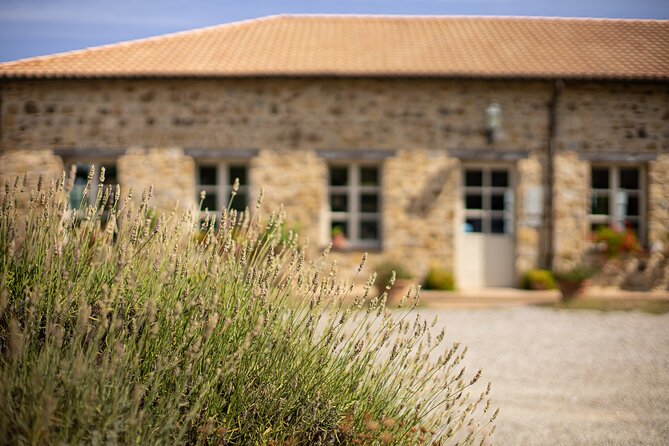 Gourmet Wine & Food Tasting - Frequently Asked Questions