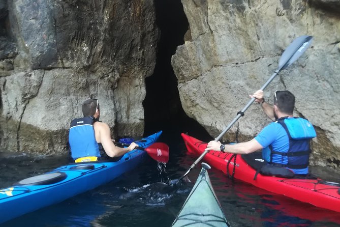 Half Day Guided Zaton Bay Kayak, Swim, and Snorkel Tour in Dubrovnik - The Sum Up