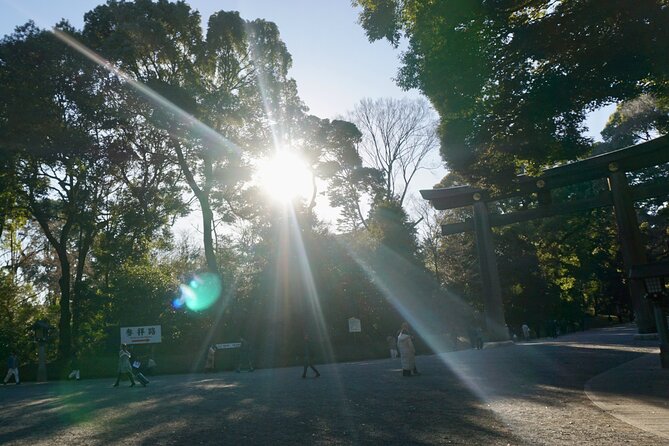 Harajuku Meiji Shrine 1 Hour Explanation Tour - Directions