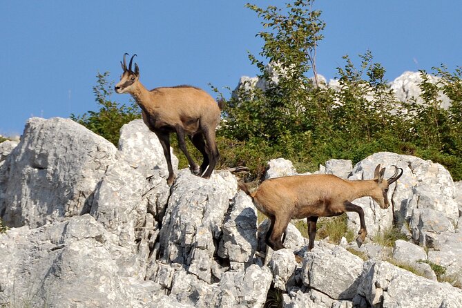 Hiking Tour in Nature Park Biokovo - Customer Reviews