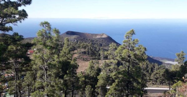 La Palma : South Tour to the Volcanoes by Bus 4x4 - The Sum Up