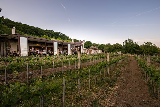 Lake Balaton Full Day Private Wine Tour - Cancellation Policy