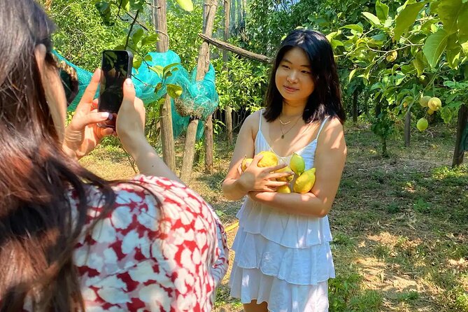 Lemon Experience in a Sorrento Farm With Harvesting and Tasting - Booking Information