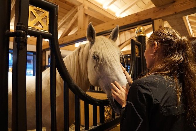 Lipica Stud Farm and Skocjan Caves From Piran or Portoroz or Izola - Pricing and Booking Information