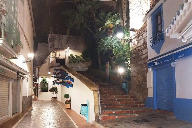 Marbella - Food and History Tour - Accessibility Information