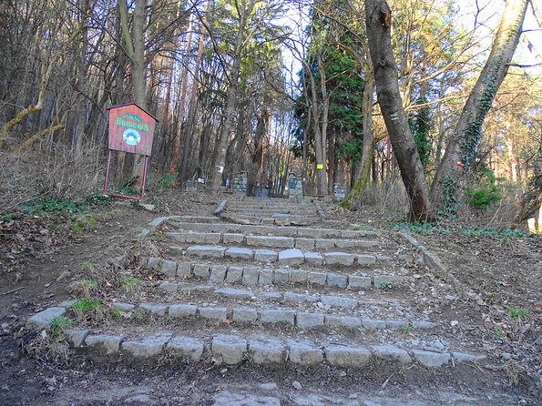Mt. Vitosha and Boyana Waterfall Hiking Tour From Sofia - The Sum Up