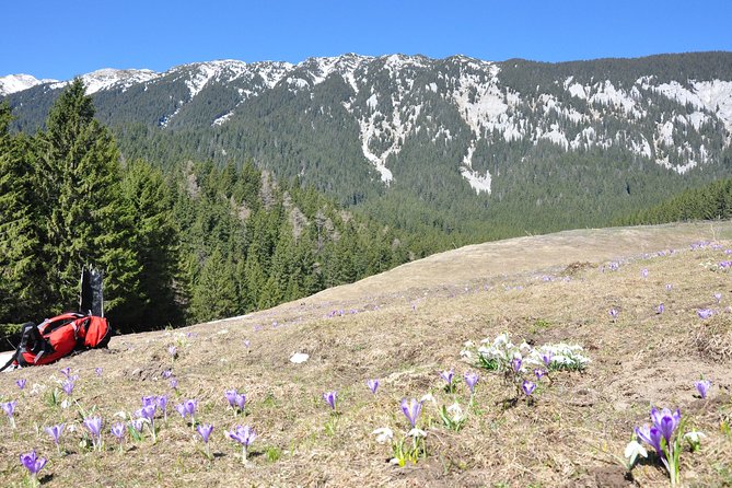 Piatra Craiului National Park Private Hiking Tour From Brasov - Directions