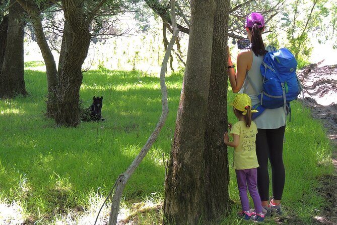 Podgorica Historic, Safari and Winery Tour - Skadar Lake and River Crnojevica - Additional Information