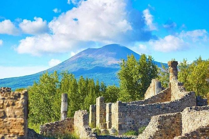 Pompeii and Vesuvius Full-Day Tour Select From Positano - Inclusions