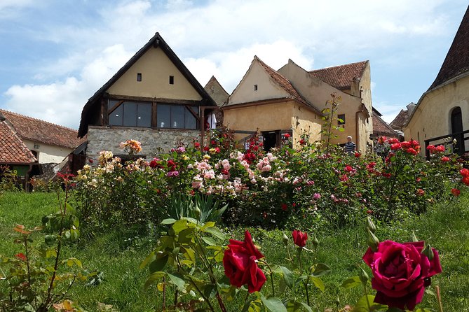 Premium Private 3-Day Best of Transylvania Tour Bucharest Hotel Pick Up/Drop Off - Itinerary