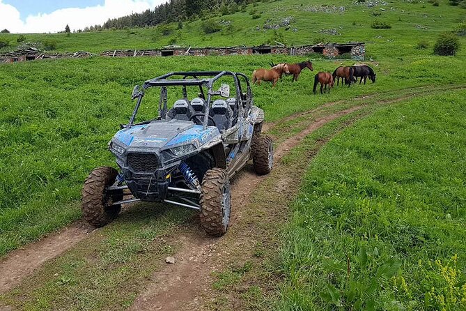 Private 1-Hour Quad or Buggy Safari in Borovets - Reviews and Ratings