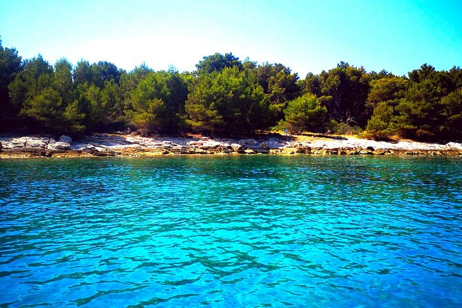 Private Boat Trip Through Sibenik Arhipelago (Half Day) - The Sum Up