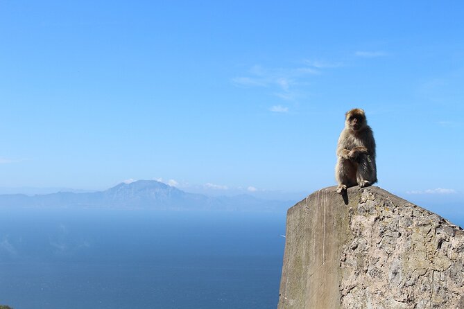 Private Day Tour in Gibraltar and Tangier, Morocco From Malaga - Additional Info