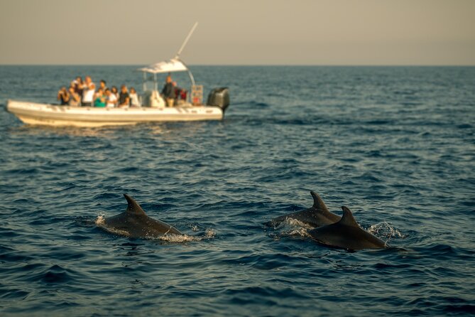 Private Family Dolphin Tour in Poreč - Location and Duration