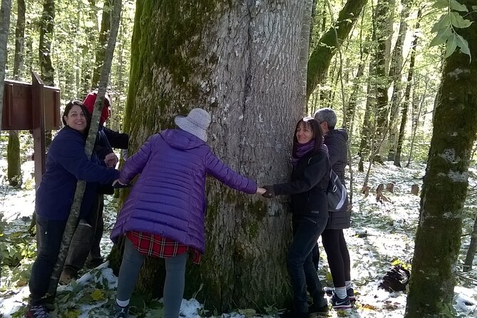 Private Full-Day Tour in Moraca and Tara Canyons, Durmitor & Biogradska Gora NP - Directions