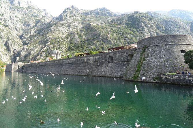 Private Full-Day Tour - Skadar Lake National Park, Saint Stefan and Kotor Tour - Inclusions Provided