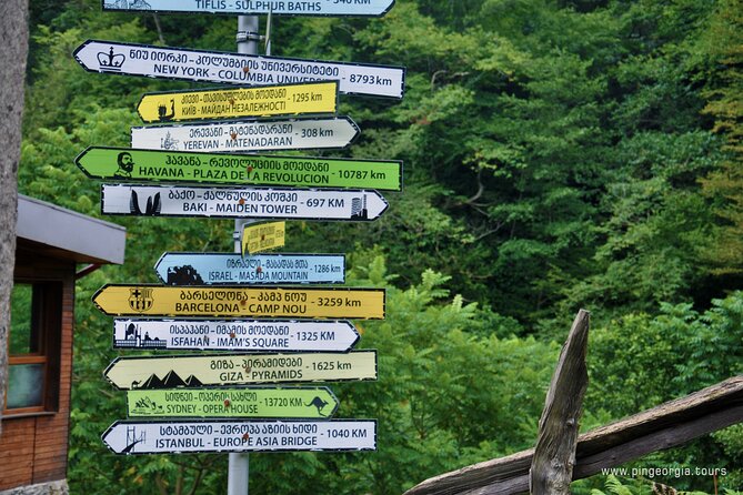 Private Hiking Tour to Mtirala National Park From Batumi - Reviews