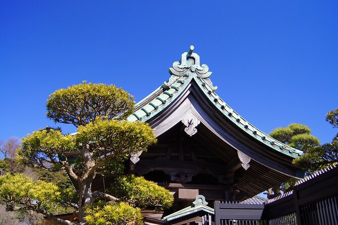 Private Kamakura and Enoshima Day Tour From Tokyo - Price Information and Guarantee