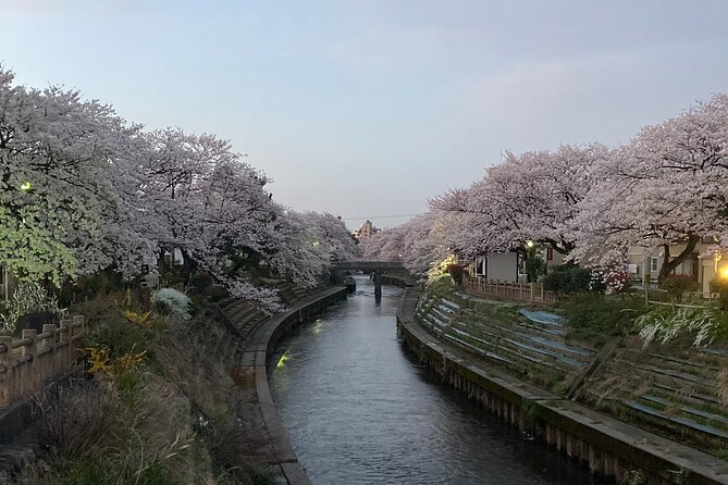 Private Kimono Stroll in Toyama City Possibly With a Shiba Inu - Booking Information and Options