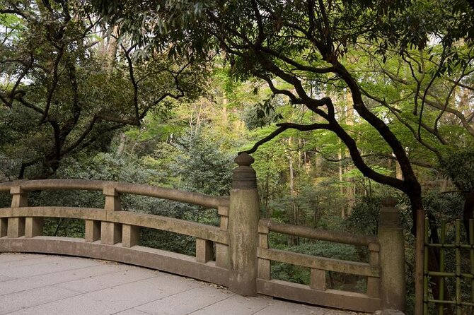 Private Smartphone Photography in Osaka - Benefits of Private Smartphone Photography