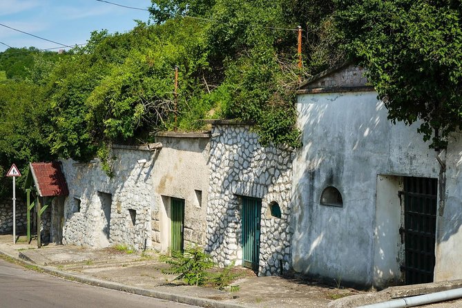 Private Winetasting and Sightseeing Tour to Eger, Home to Bulls Blood Wine! - Frequently Asked Questions