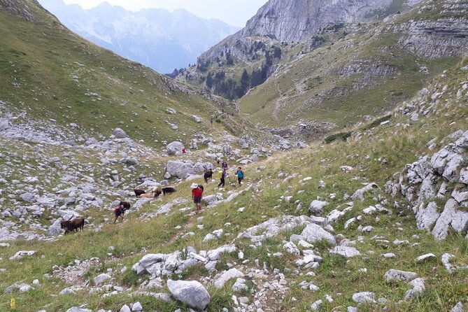 Self - Guided Peaks of the Balkans Tour in 7 Days - Day 5: Cerem to Doberdol Hiking