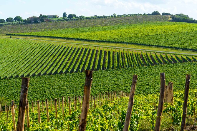 The Grand Wine Tour With Sommelier – 2 Wineries With Chianti & Supertuscan - Pricing and Reviews