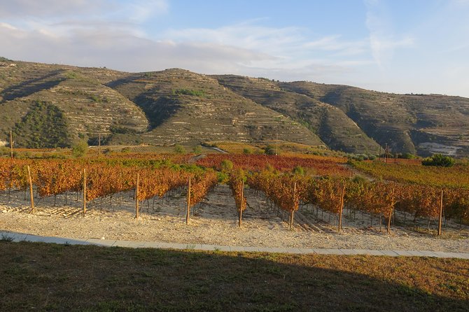 The Grape Escape: Troodos Mountains Thru Wine Small Group Tour 6hrs - Reviews