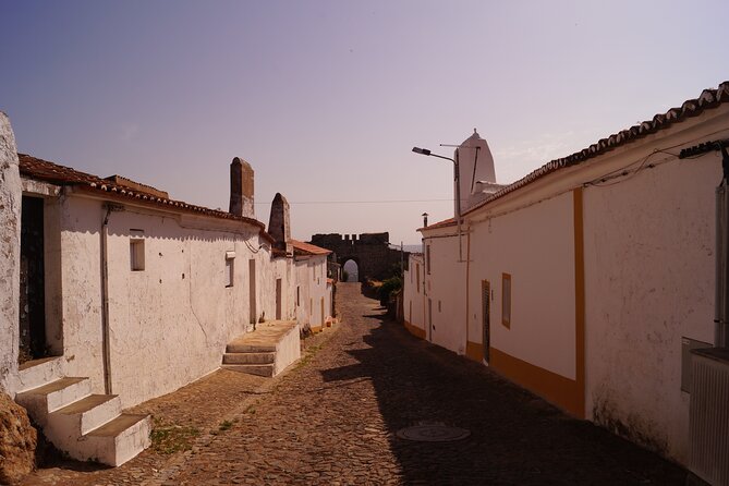 Time Traveller Full Day Tour From Évora by Archaeologists - Tour Highlights