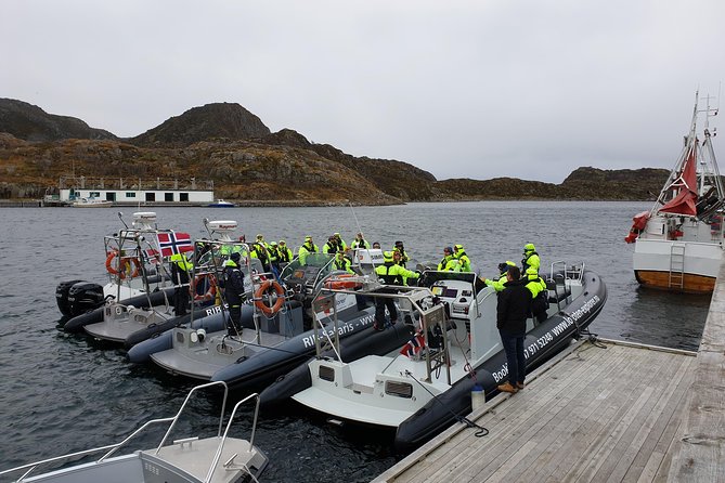 Trollfjord and Sea Eagle Safari Tour From Svolaer - Directions and Recommendations