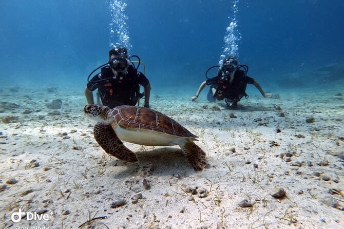 Try a Scuba Diving Experience - Frequently Asked Questions