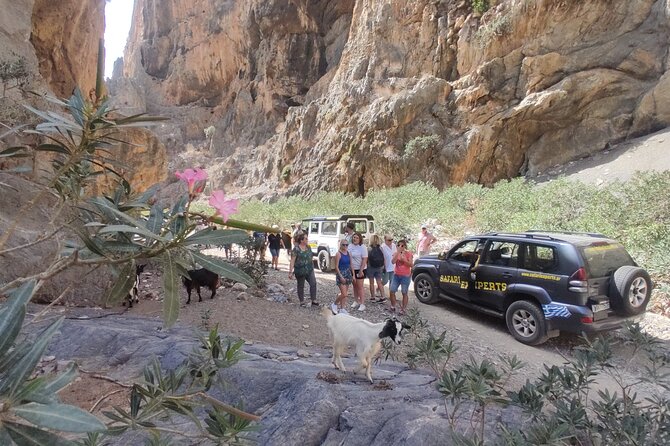 Trypiti Beach and Gorge Jeep Safari - Additional Information