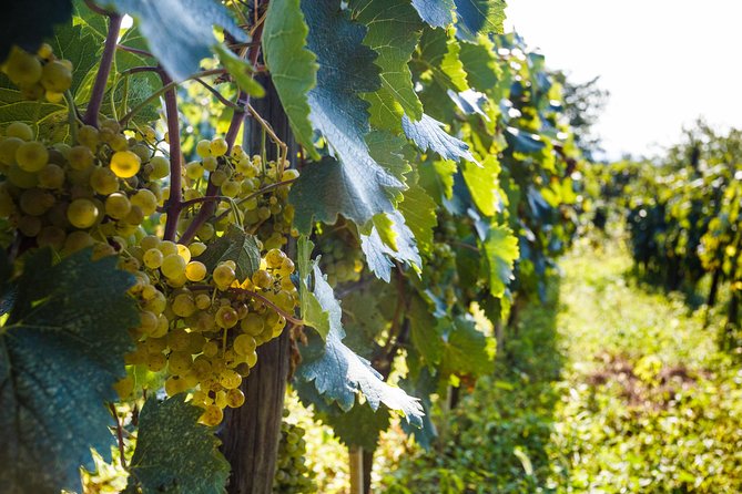 WINE & DINE Tour From Kutaisi - Directions