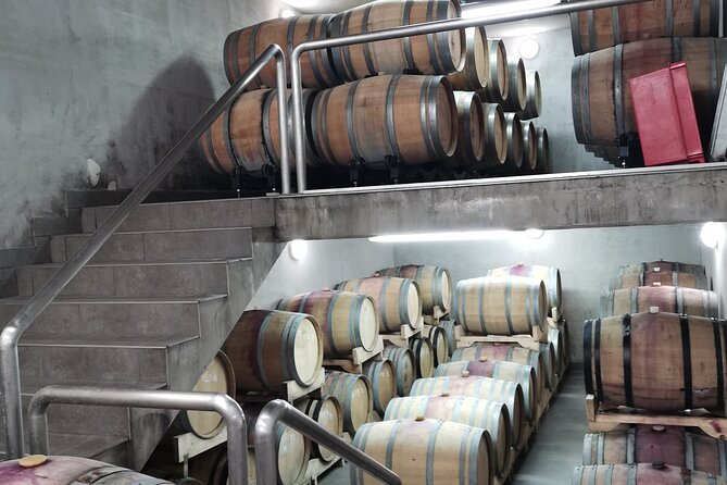 Wine Tasting Experience at the Organic Winery in ŠIšAn - Maximum Travelers and Pricing