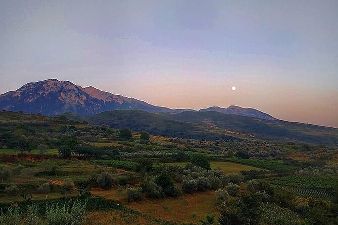 Winetasting Tour in Alpeta Winery - Roshnik Village by 1001 Albanian Adventures - The Sum Up