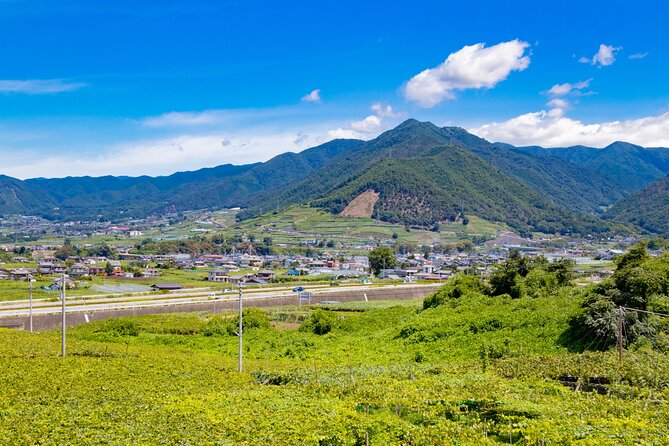 Yamanashi Koshu Winery Private Tour With Licensed Guide & Vehicle - Booking Information