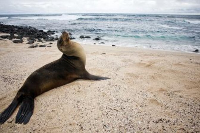 7-Day Galapagos Magic Expedition - Good To Know