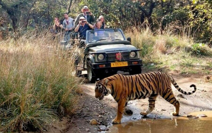 7-Day Golden Triangle Tour With Ranthambore Tiger Safari - Day 01: Delhi Arrival