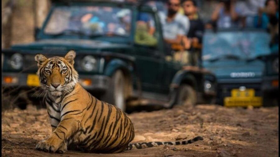 7 Days Jim Corbett Nainital Tour With Taj Mahal Tour - Good To Know