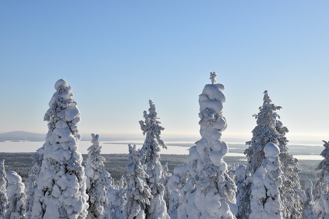 7 Days Winter Lapland Nature Experience