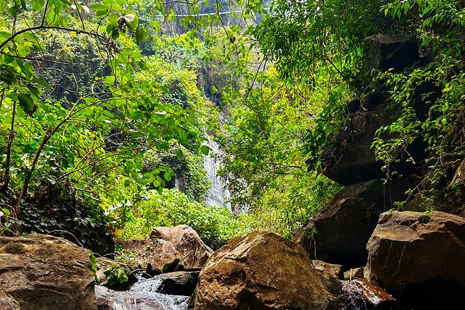 3 Best Tours In Acajutla