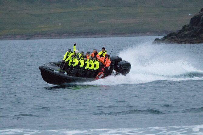 1 Hour Iceland Nature and Wildlife RIB Small Group Guided Safari - Frequently Asked Questions
