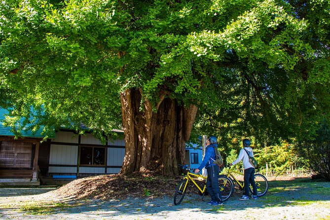 3 Hour Cycling Tour in Kakunodate - The Sum Up
