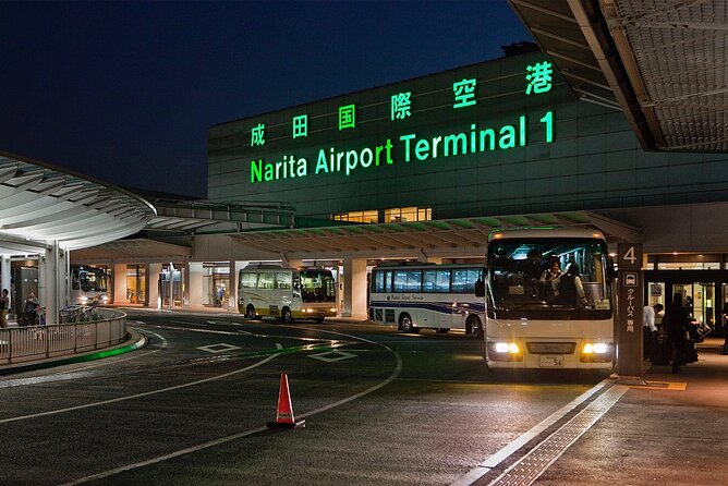 Airport Transfer Between Narita and Mount Fuji or Hakone Onsen - Accessibility and Special Services