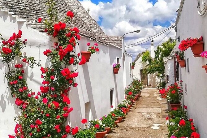 Alberobello and Wine & Food Tasting Private Tour - Pricing Details